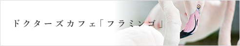 フラミンゴカフェ