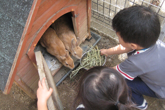 園庭あそび6