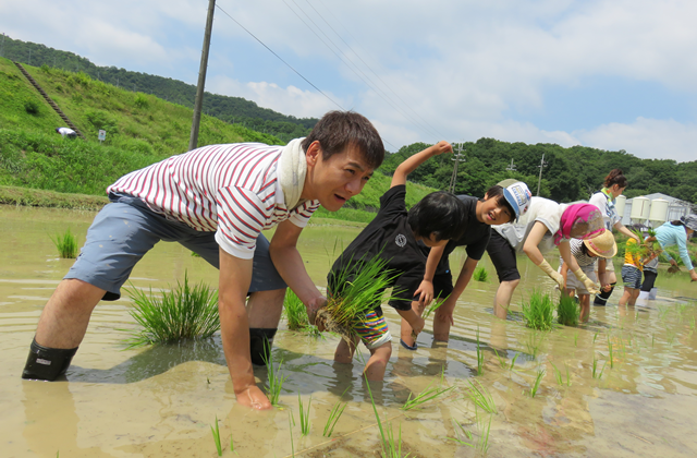 田植え2